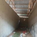 Poultry Farm Selling Proposal