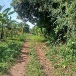 Poultry Farm Selling Proposal