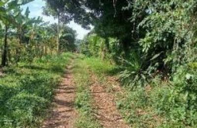 Poultry Farm Selling Proposal